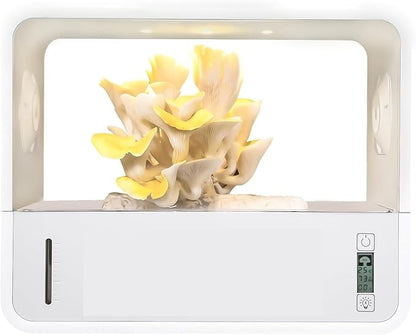 Smart Mushroom Growing Tent, Fully Automatic Mushroom Grow Box by Unknown