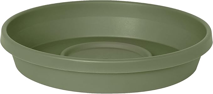 Bloem Terra Resin Saucer Tray: 11.25" Bottom Width by Bloem