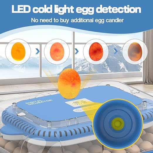 HOWOOlUA 70 Egg Incubator for Hatching Eggs withAuto Turn, Temp & Humidity - Image 5