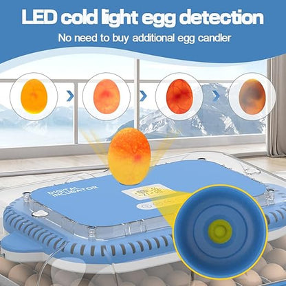 HOWOOlUA 70 Egg Incubator for Hatching Eggs withAuto Turn, Temp & Humidity - Image 5