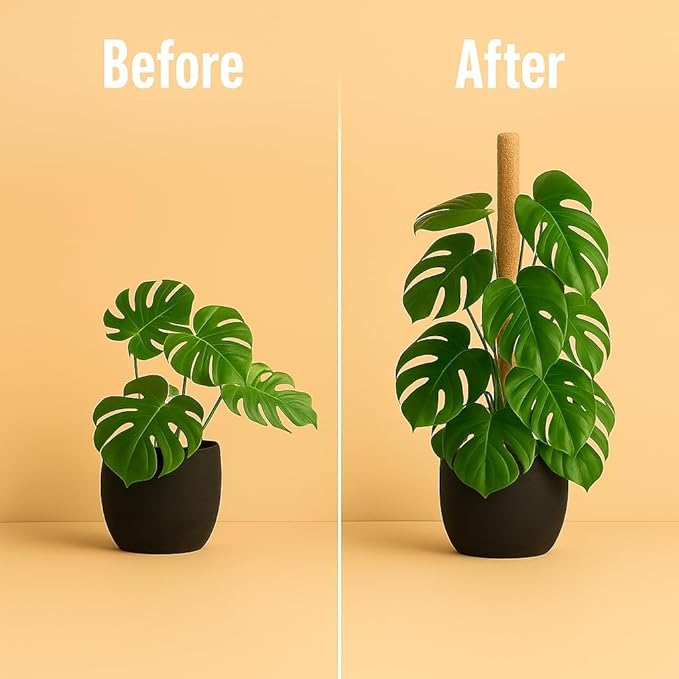 Moss Pole Monstera Plant Support – 48” Bendable Moss Pole Monstera Plant Support - Image 7