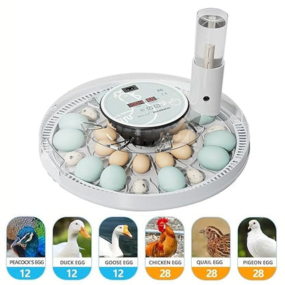 MeeF incubators for Hatching 28 Eggs, Independent atomizing humidifier - Image 7