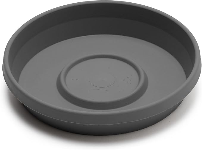 Bloem Terra Resin Saucer Tray: 15" Bottom Width - Image 7