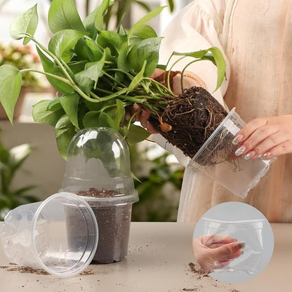 Transparent Nursery Pots 4Inch - Image 6