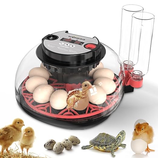 incubators for hatching eggs，12 Egg Incubator, egg incubator by WONEGG