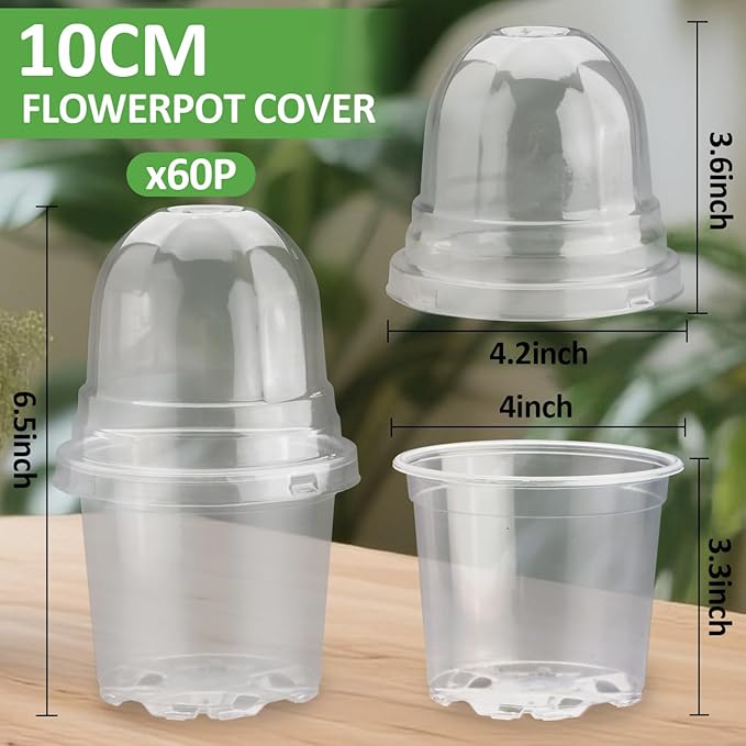 60 Pack Clear Nursery Pots - Image 5