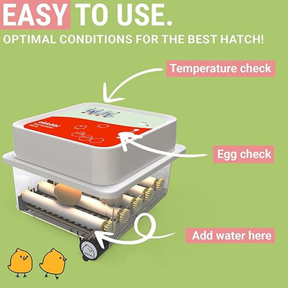Incubators for Hatching Eggs - Image 3