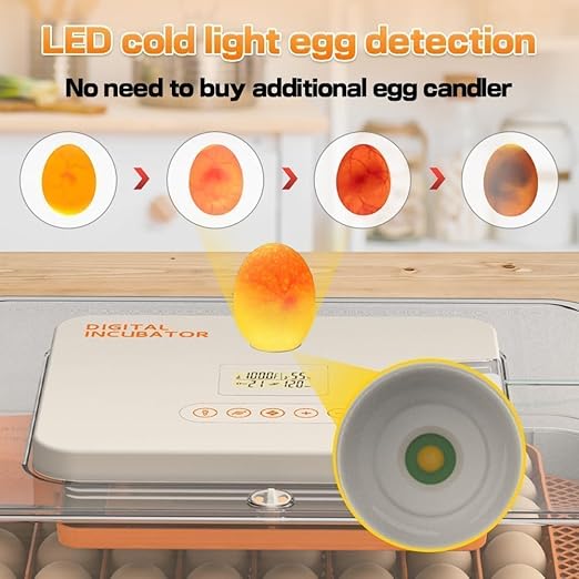 4th Gen – 56 Egg Fullly Automatic Incubator, 2026 Upgraded Design, Intelligent - Image 5