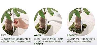 IPPINKA Sustee Aquameter, Bundle of 12, Soil Moisture Meter - Image 5