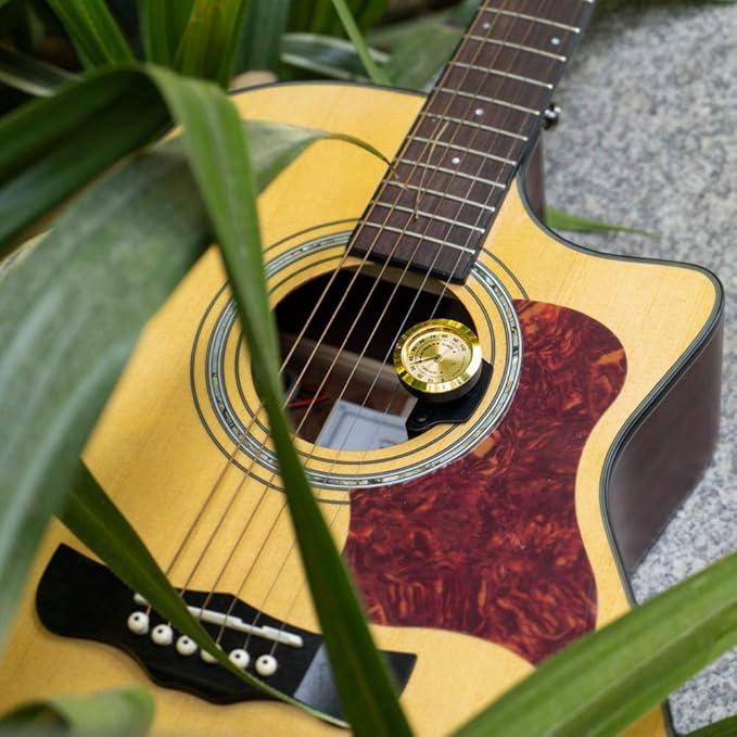 Guitar Humidifier - Image 7