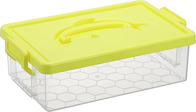BTSKY 1-Pack Clear Plastic Storage Box by BTSKY