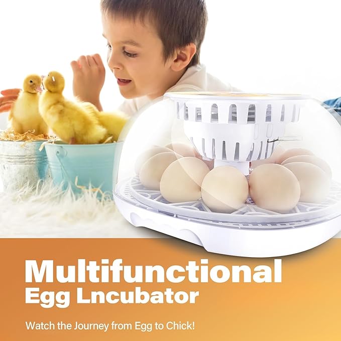 12 Egg Incubators for Hatching Eggs | - Image 6