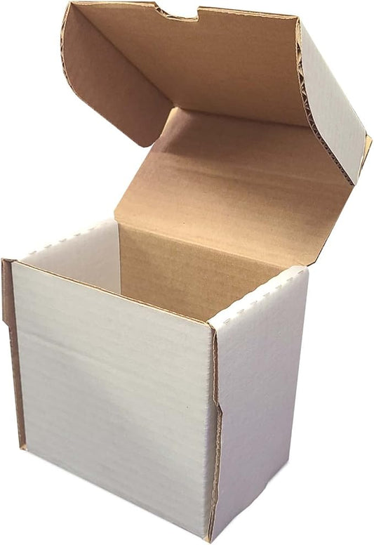 BCW 5-Inch Semi Rigid #1 Card Holder Storage Box by BCW