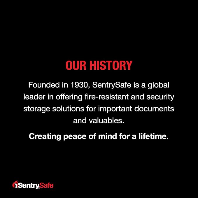 SentrySafe Fire and Water Resistant Portable Bag - Image 8