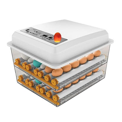 Egg Incubator, Egg Incubator by HKDQ