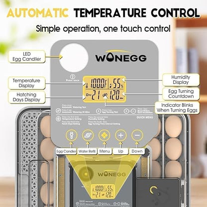4th Gen – 48 Egg Fully Automatic Incubator, 2026 UpgradedDesign, Intelligent - Image 2