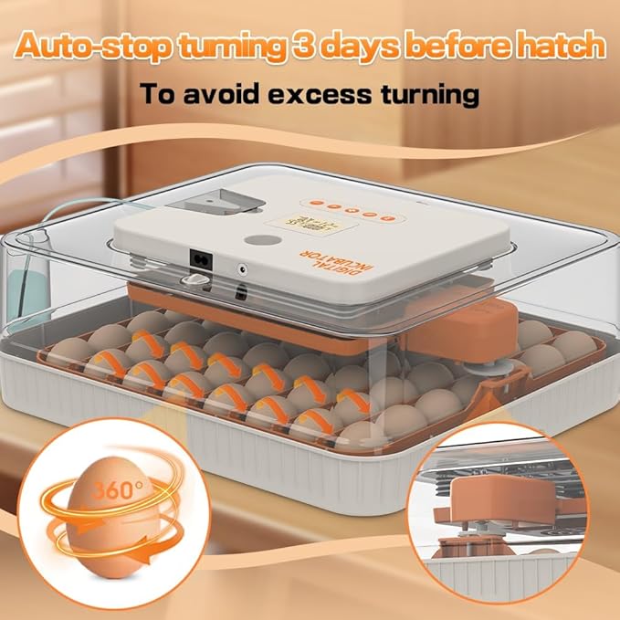Automatic 56-Egg Incubator for Breeders, Sensor-Based Precise Humidity & Temp - Image 4