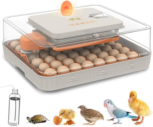 Automatic 56-Egg Incubator for Breeders, Sensor-Based Precise Humidity & Temp by ZEMIROCHARGE