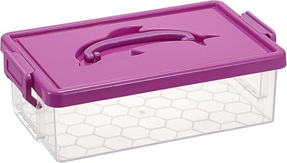 BTSKY 1-Pack Clear Plastic Storage Box by BTSKY