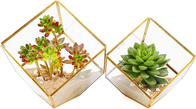 ELEGANTLIFE Glass Geometric Plant Terrarium, Succulent & Air Planter by ELEGANTLIFE