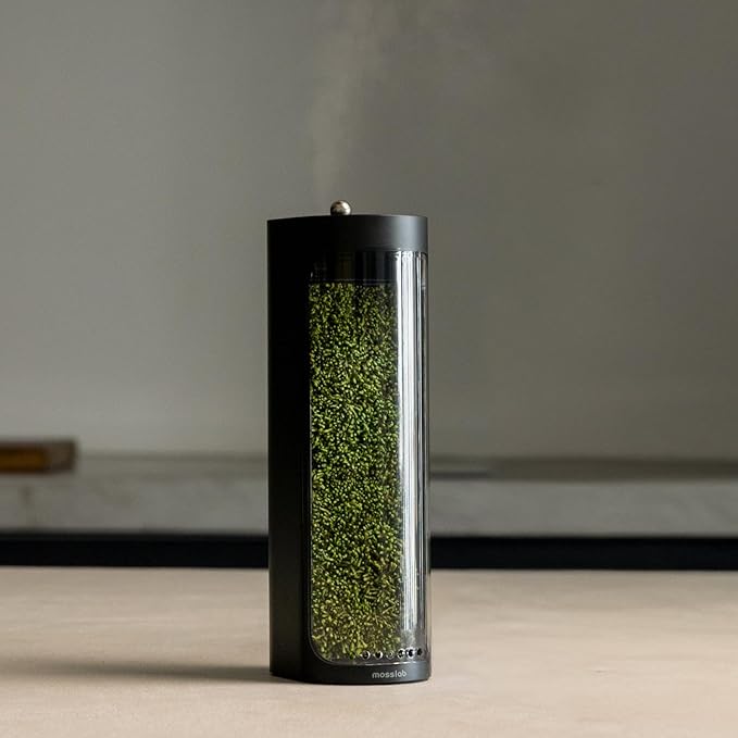 Moss Air – Living Moss Terrarium Humidifier | Soothing Mist Fountain & Ambient by mosslab