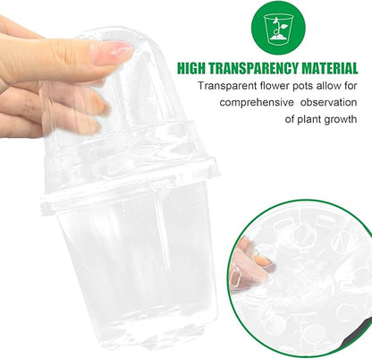 Transparent Nursery Pots 3.5Inch - Image 3