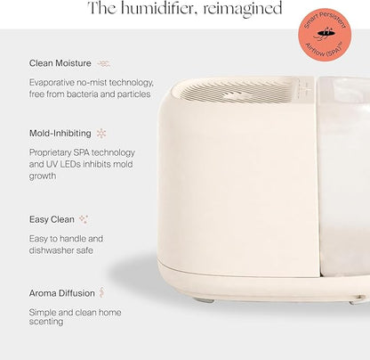 Canopy Large Room Humidifier, Moonstruck, Large Living Space, 36HR Run Time - Image 2