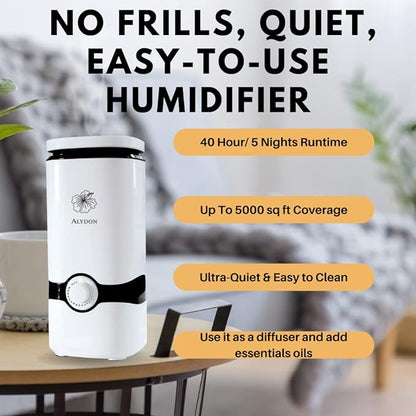 Cool Mist Humidifiers - Image 2