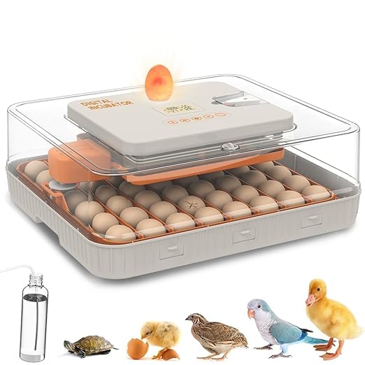 4th Gen – 56 Egg Fullly Automatic Incubator, 2026 Upgraded Design, Intelligent by Unknown
