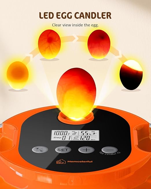 18 Egg Incubator with Automatic Turning & Humidity Control, Fully Automatic - Image 8
