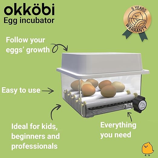 OBI-12 Incubator for Hatching Eggs – 36 Eggs, Stable Temperature & Humidity - Image 2
