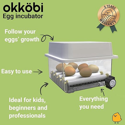 Incubators for Hatching Eggs - Image 2