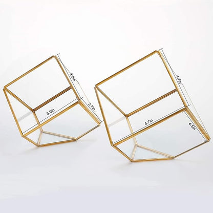 ELEGANTLIFE Glass Geometric Plant Terrarium, Succulent & Air Planter - Image 2