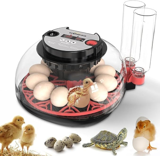 Explore+ 12 Egg Incubator for Beginners, Auto Egg Turning, Real-Time Display by Unknown