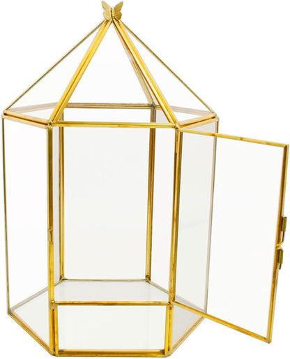 ELEGANTLIFE Glass Geometric Plant Terrarium, Succulent & Air Planter - Image 7