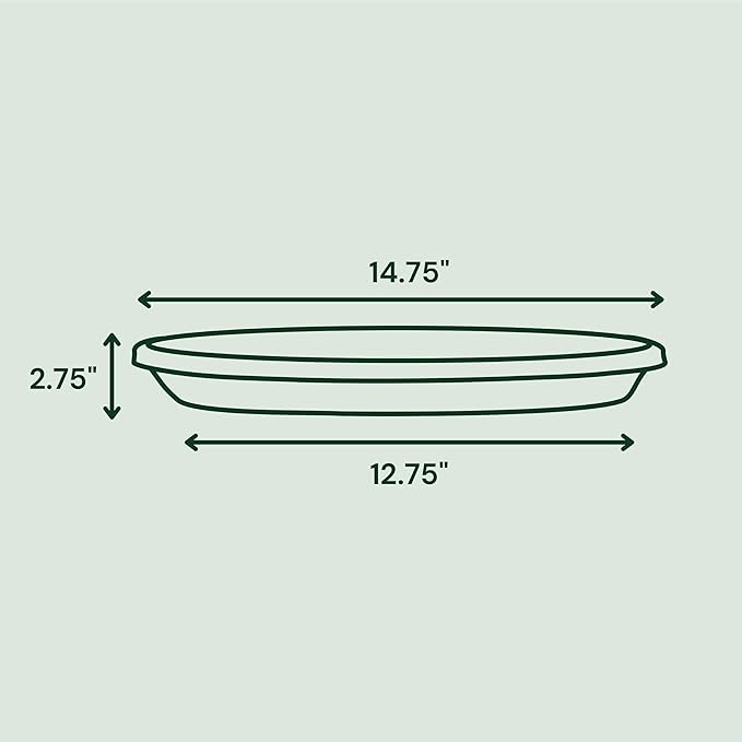 Bloem Terra Resin Saucer Tray: 12.75" Bottom Width - Image 2