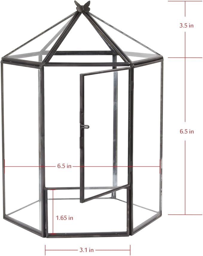ELEGANTLIFE Glass Geometric Plant Terrarium, Succulent & Air Planter - Image 3