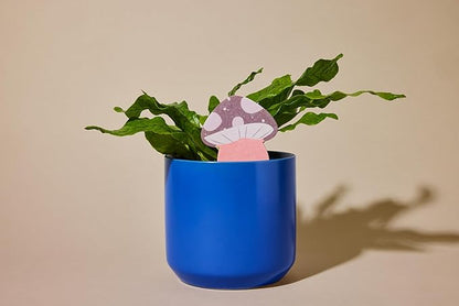 Biodegradable Soil Moisture Meter, Visual Reminder to Water Your Indoor Plants by Unknown