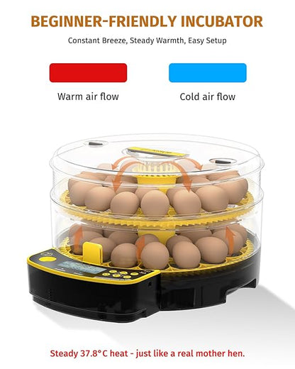 Egg Incubators for Hatching Eggs, Double-Layer 48 Egg Incubator - Image 2