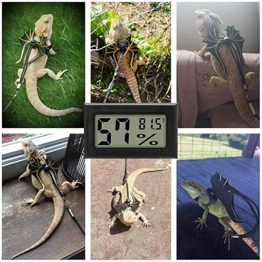 Mini Digital Thermometer, Humidity Meter, Hygrometer, and Hydrometer: Digital - Image 7