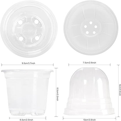 MIXC Clear Plant Nursery Pots - Image 3