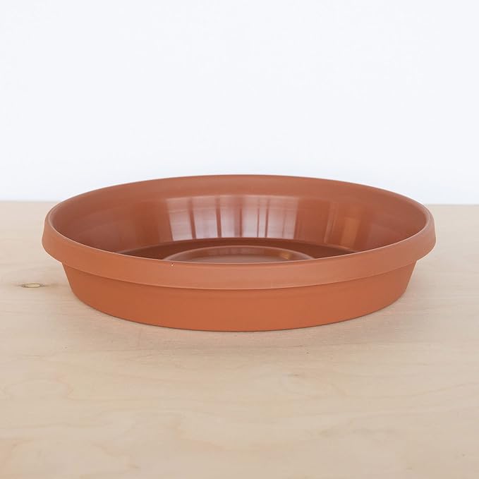 Bloem Terra Resin Saucer Tray: 15" Bottom Width - Image 2