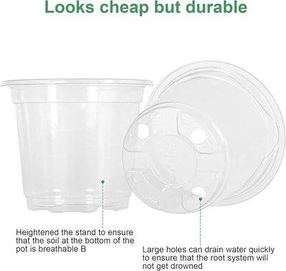 MIXC Clear Plant Nursery Pots - Image 5
