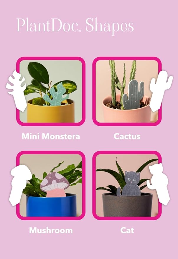 Biodegradable Soil Moisture Meter, Visual Reminder to Water Your Indoor Plants - Image 4
