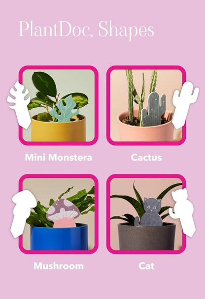 Biodegradable Soil Moisture Meter, Visual Reminder to Water Your Indoor Plants - Image 4