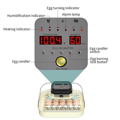 35 Egg Incubator with Automatic Egg Turning and Humidity Control, Incubator - Image 8