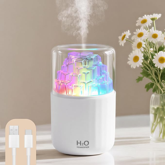 Portable Mist Humidifier with Colorful Light Auto-Off USB Desktop Personal by Dasiboolin