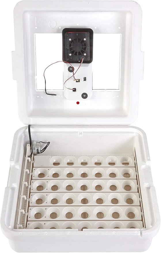 Little Giant® Digital Still Air Incubator | 41 Eggs | Egg Incubator - Image 4