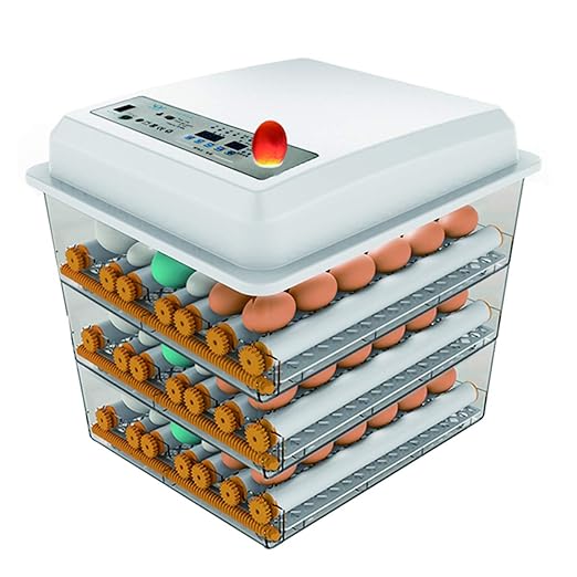 Egg Incubator - Egg Incubator by HKDQ