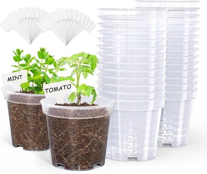 homenote Clear Nursery Pots for Plants, 4 Inch Plant Pot for Planting Plastic by HOMENOTE